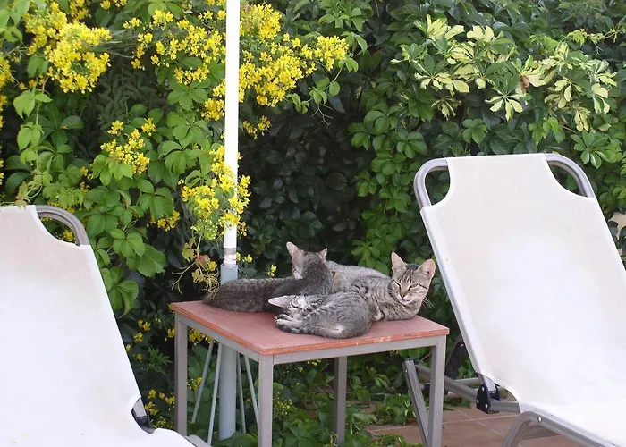 Astra Village And 4*